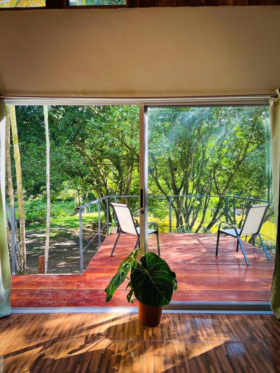 Ficus House Διαμέρισμα Boca Tapada Εξωτερικό φωτογραφία