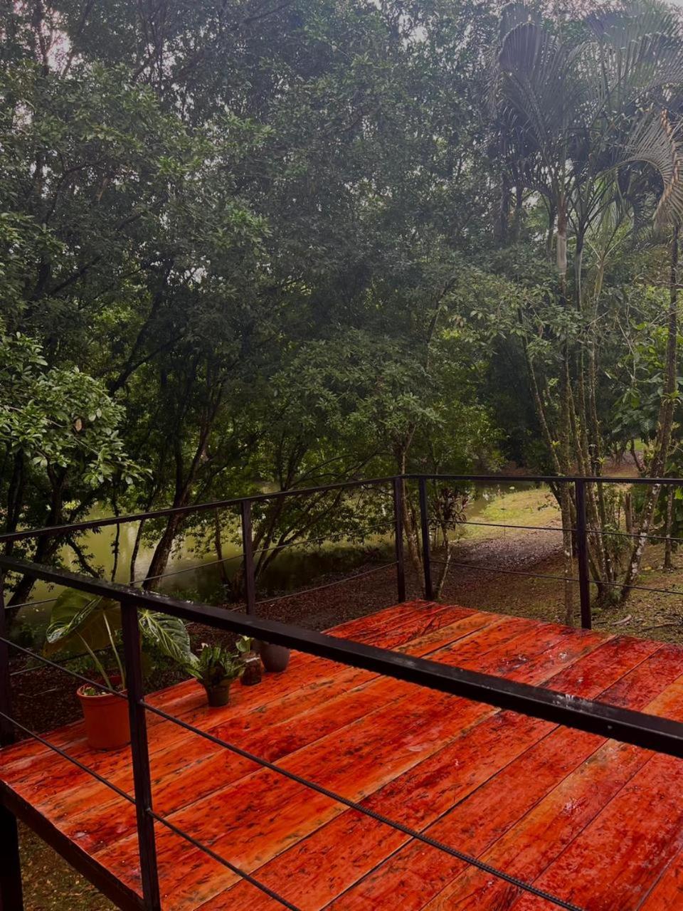 Ficus House Διαμέρισμα Boca Tapada Εξωτερικό φωτογραφία